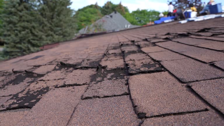 Best Gutter Installation and Repair  in Elkins Rk, PA
