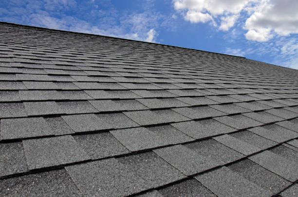 Best Flat Roofing  in Elkins Rk, PA