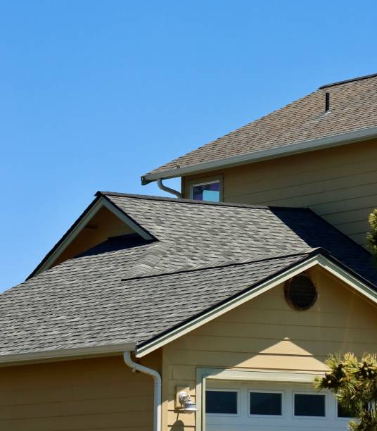 Best Roof Coating Services  in Elkins Rk, PA